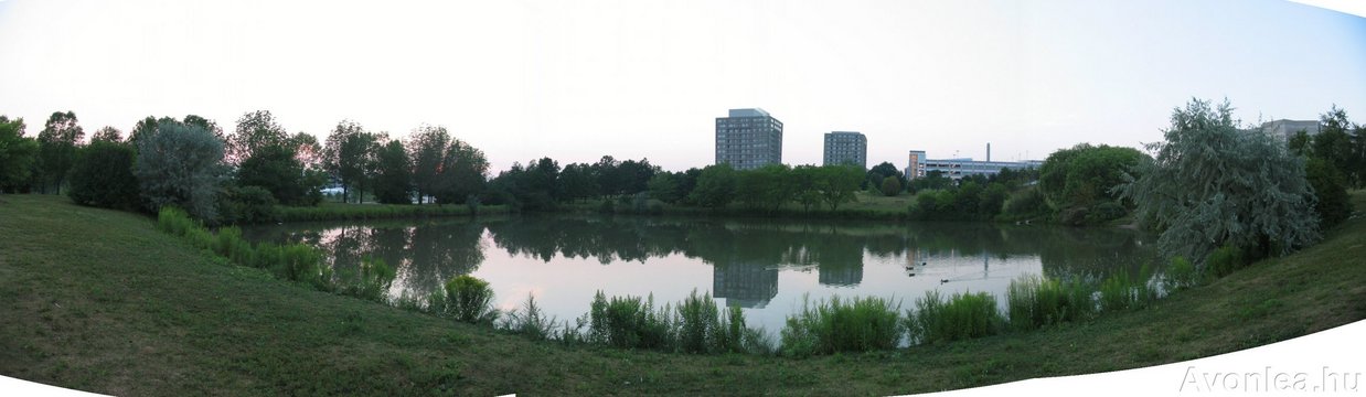 Keele Campus pond